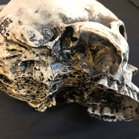 Skull purse skeleton goth occult shoulder bag - Picture 7 of 8